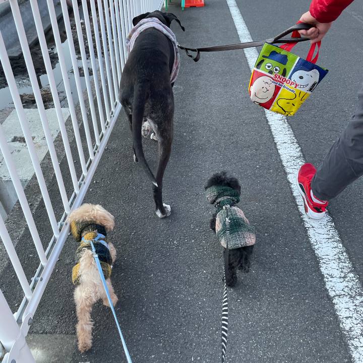 91f5c440 be82 4e53 bccd 900ad1deae8a 1613900541821