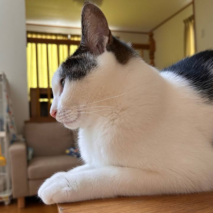 91f5d2ed 2157 4f5e a80f 04d80d3e7c60 1724743364838