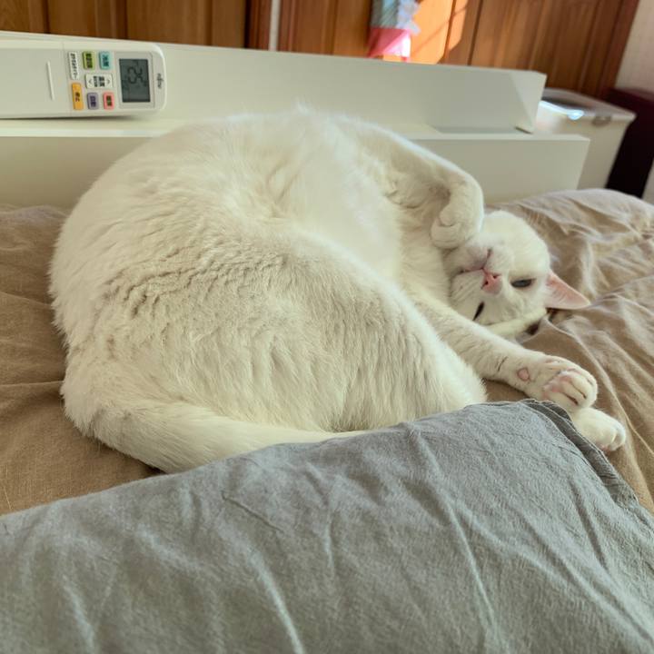 91f5e9a6 ade0 4410 9e19 f4d62c0299be 1651535755730