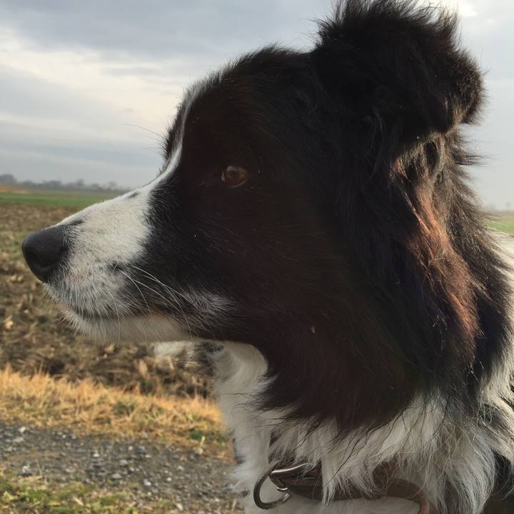 91f64ef6 6008 4432 afb9 0a4f01c74383 1549498599655