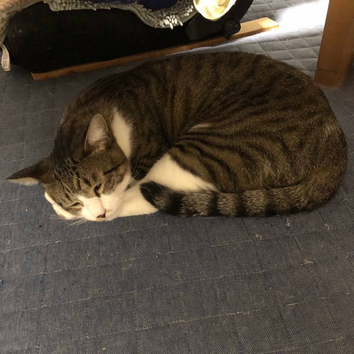 91f67b2d aeac 40e0 8426 c48f06d916f3 1602301484309