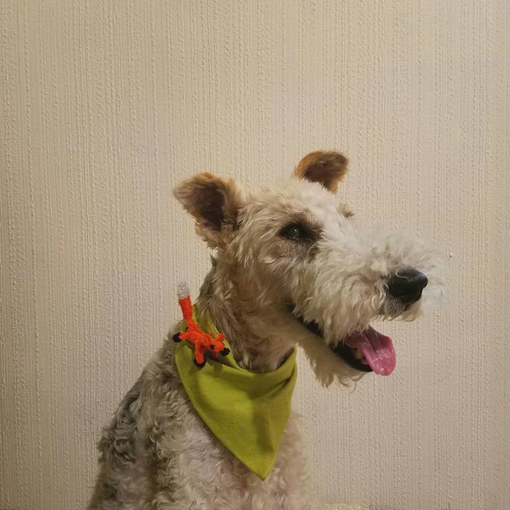 91f67b7a fba0 4469 82a6 0686208fdffc 1562594299027