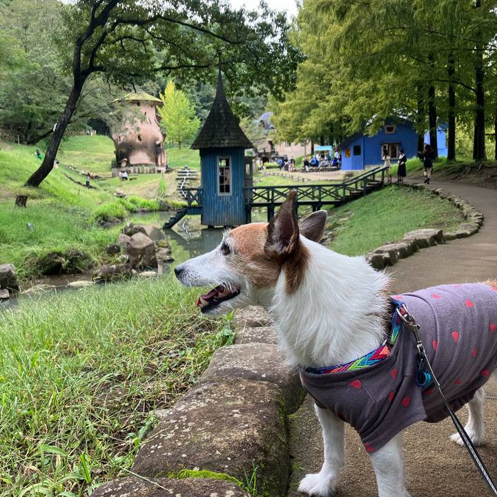 91f691f9 1a3e 4d45 b479 1cb960f9ff07 1665274165421