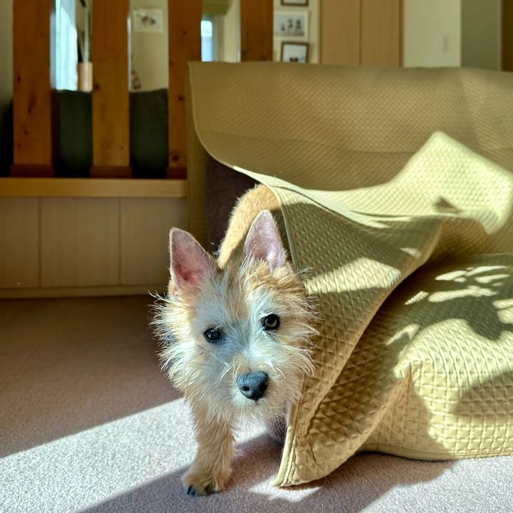 91f69a5f 29e8 4a64 97aa 95dadf328ea3 1706579083454