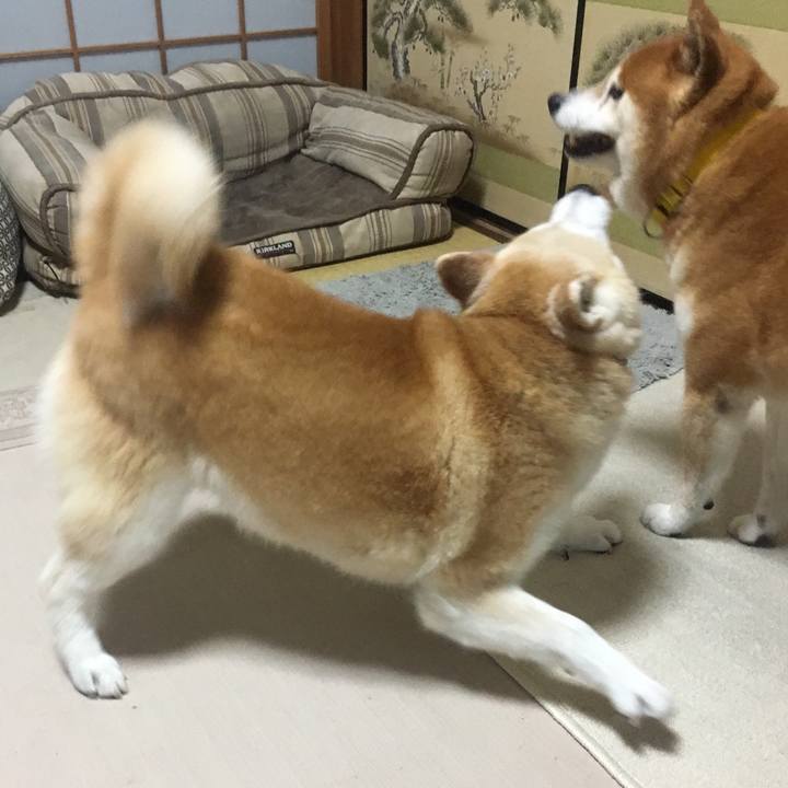 91f69e9a ff46 4559 806b c9c67866e3a9 1528267759979