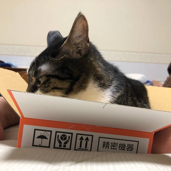 91f6a283 dd1a 4f5a 8cf1 250a7123bcca 1629730817558