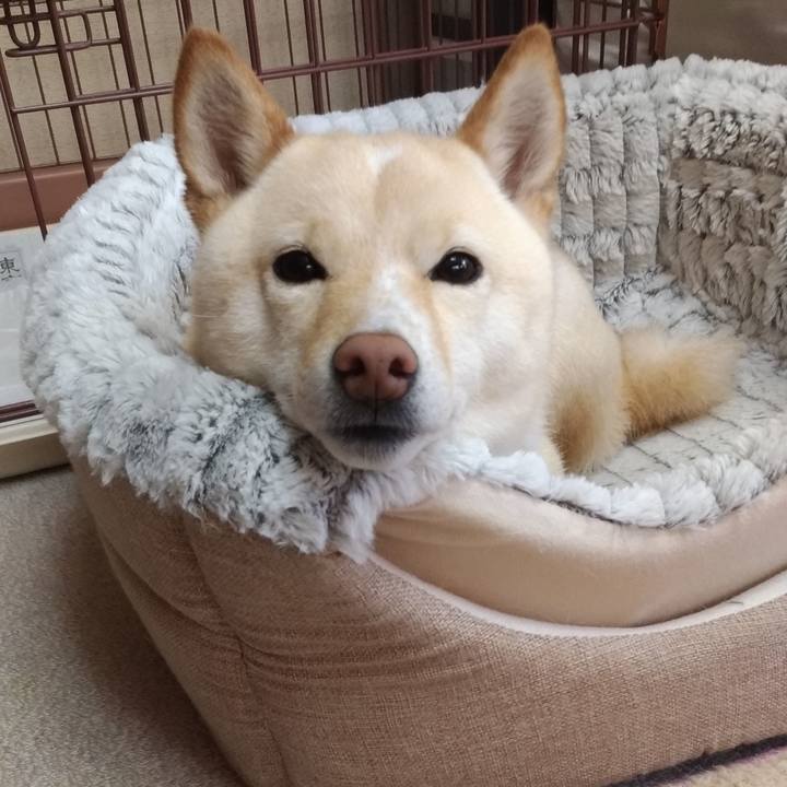 91f6b3ad 28a7 46db a5c8 7876f56b2570 1587783963762