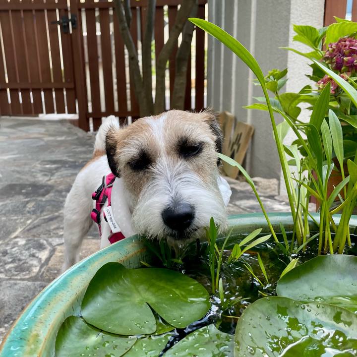 91f6bc13 4aa4 4423 9782 959e00a8e565 1656161144131