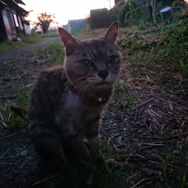 91f6c080 69dd 4f5f aecf da935dff4948 1598472897290