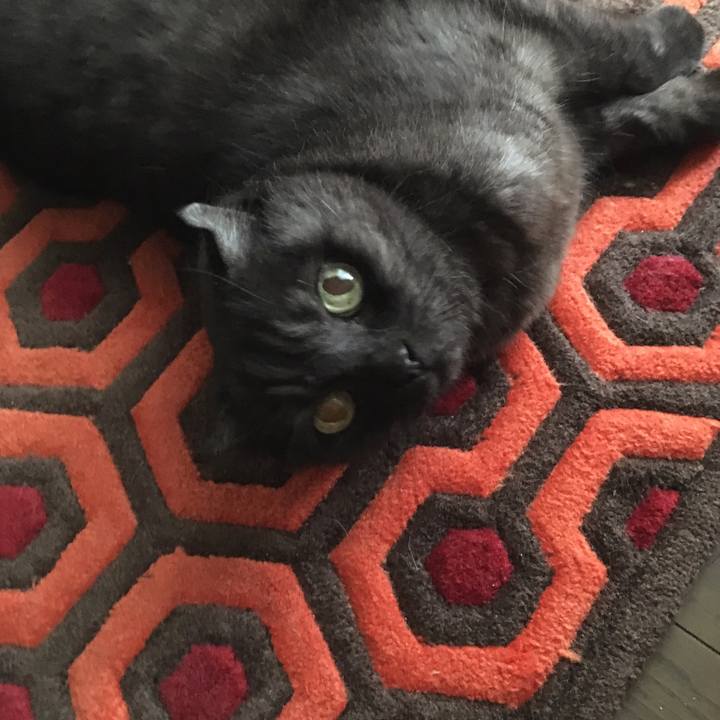 91f6cbaf 4e67 4197 8edd 4dd0834dda9f 1557798330192