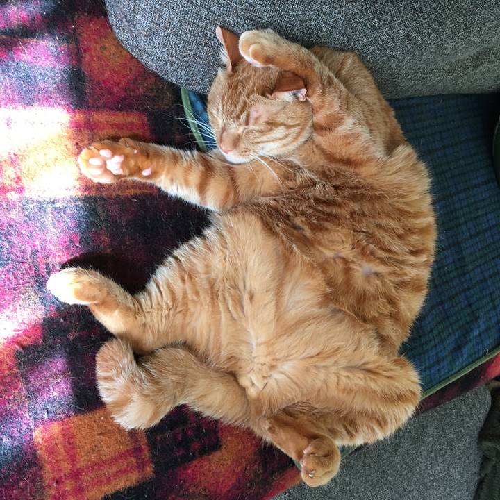 91f6cf08 611f 42e3 983d 94fcbc740648 1584919285671