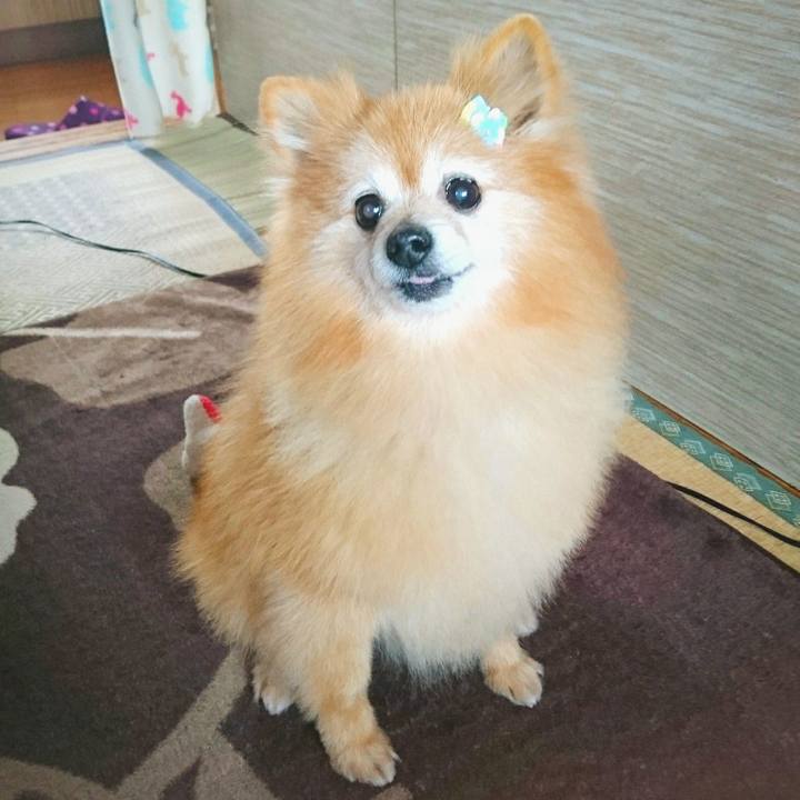 91f6d52d bd4b 4975 a032 afa7c1dfaf14 1519804823724