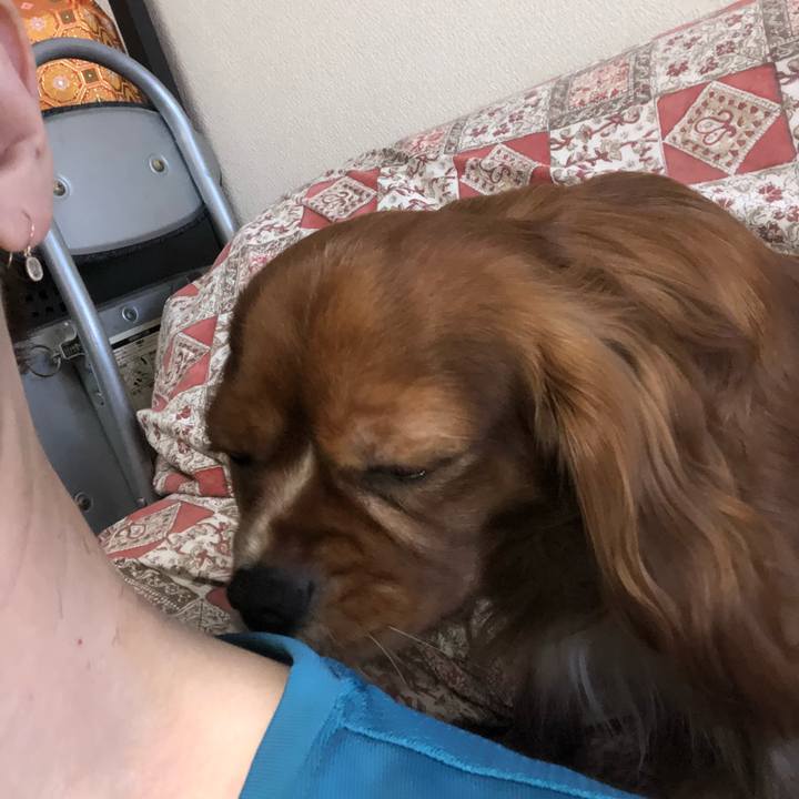 91f6f016 898a 4cfa 9014 bc220e4dc1a6 1533945614481