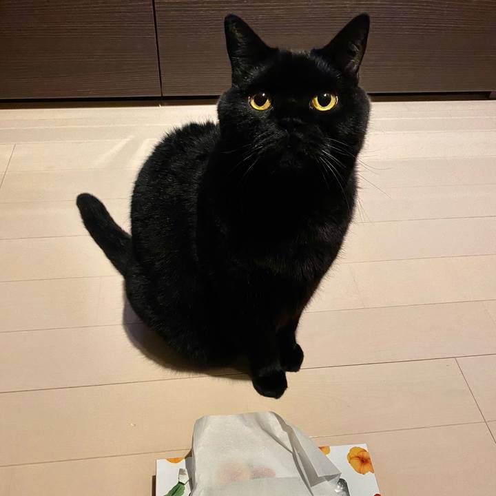 91f6f5b4 394f 48cf 87c0 5539eefdb0de 1697805471159