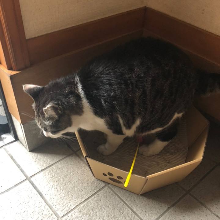 91f6fbe8 ea10 474e 8769 3ff3d089bd95 1558428872462