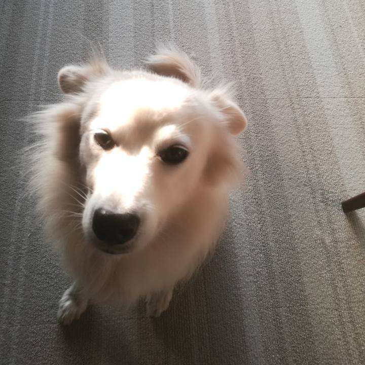 91f713b0 a1ca 4ac2 accb 068174f6faf9 1509583805916