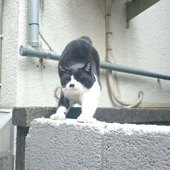 91f74205 049d 4509 a4c8 28962b5c0e45 1520205471700