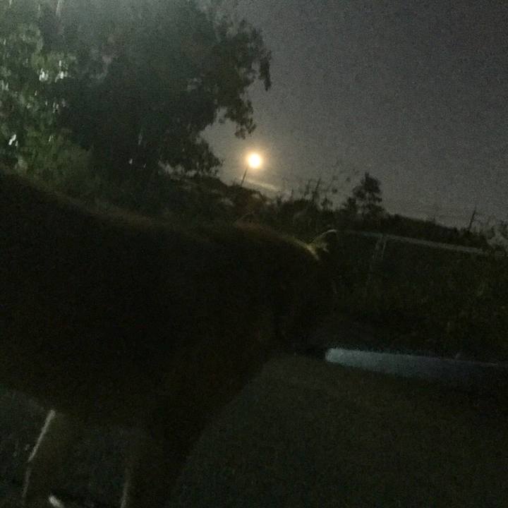 91f75d33 36f8 4694 aaa8 dce10f928666 1570964595752