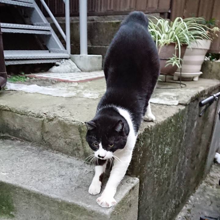 91f767b2 ea33 4914 9eda 449b02a6be28 1667894425851