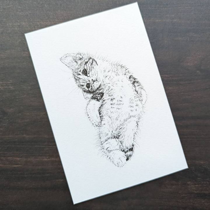 91f77bda b02e 46d9 970b 11f5ee8c0218 1693843431098