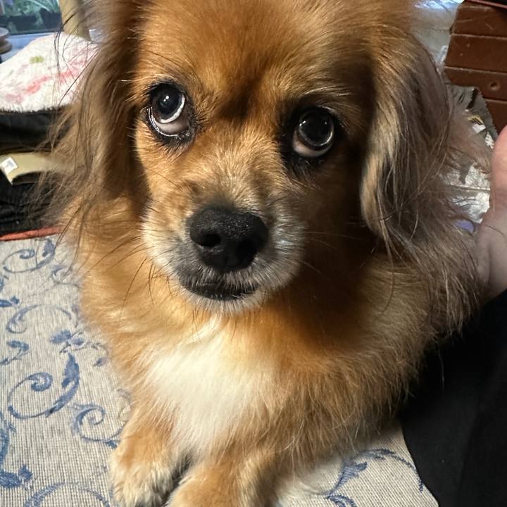 91f78244 60ab 48a5 b4ca 74ed955b4091 1696367044648