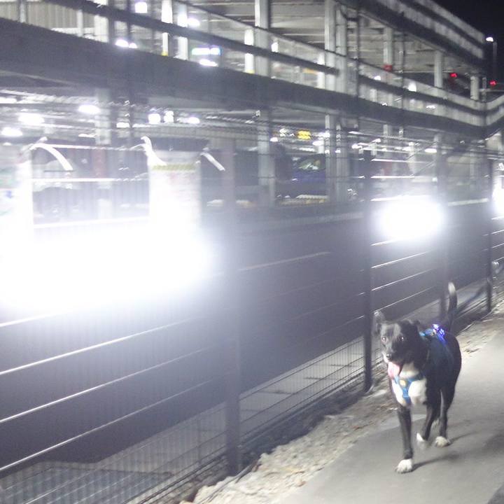 91f789fd 39e9 4ed9 b57e b6dd7f99a4ac 1699008104966