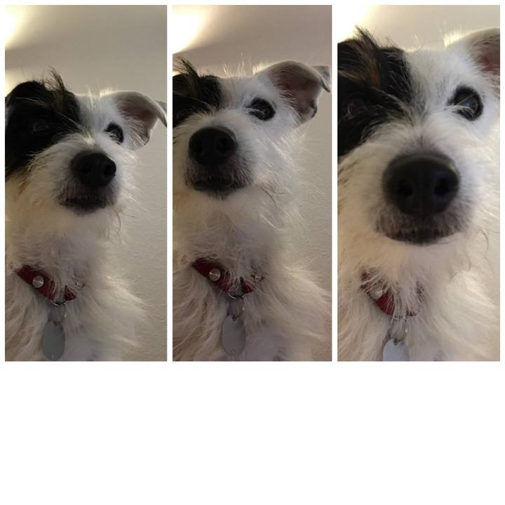 91f861af 7c93 4915 881d f000b1769714 1508066965626