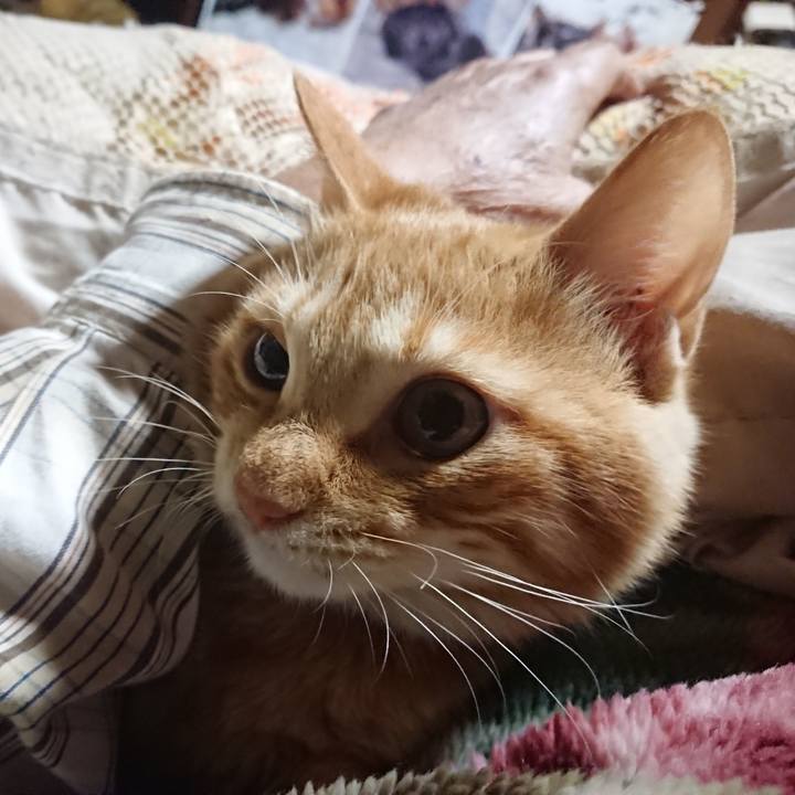 91f87a3f df90 42d1 944f f133fd908648 1636662449774