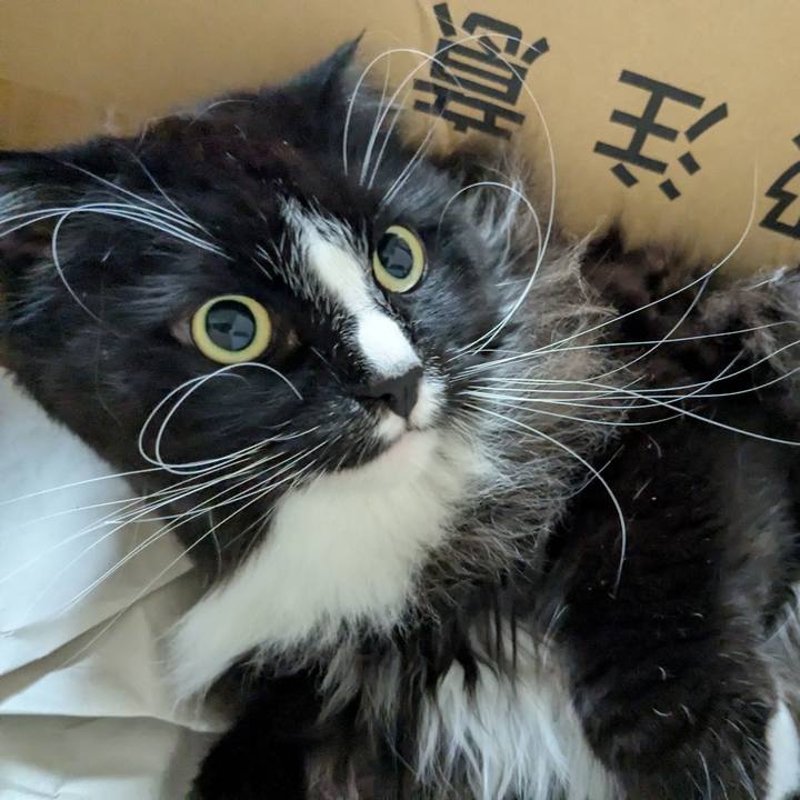 91f8c05d 881d 4d82 8fc7 bf91830d2c32 1745062494616