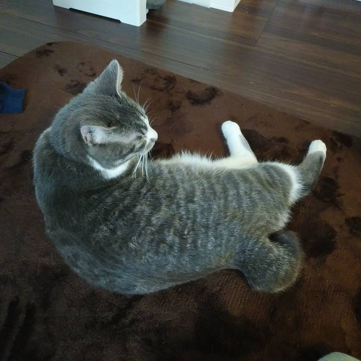 91f8e1cd 6c98 472c b74f 6336f49b9ab0 1579906854722