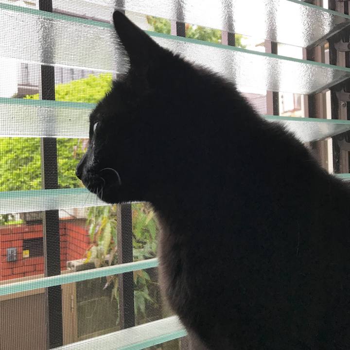 91f96b55 53d2 4bdd b747 a7f383f9c4f6 1525655094368