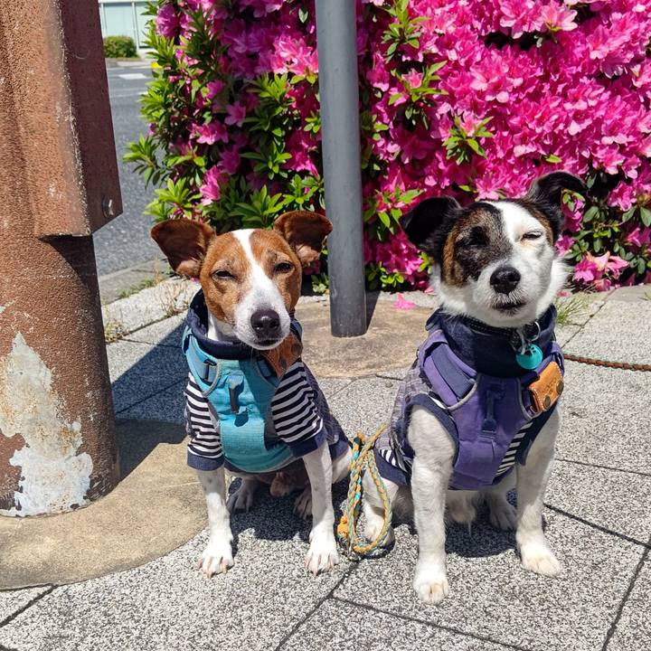 91f9a869 65e3 4d4f 81bf 04d61f3e8a92 1714711212667