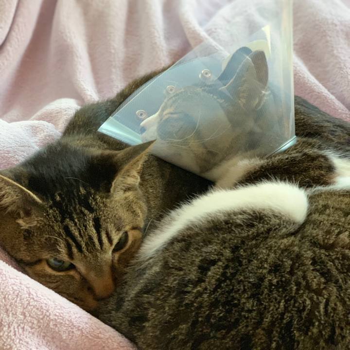 91f9b4bd e3c9 48ec 8ac9 2b422ff70a79 1553821084762