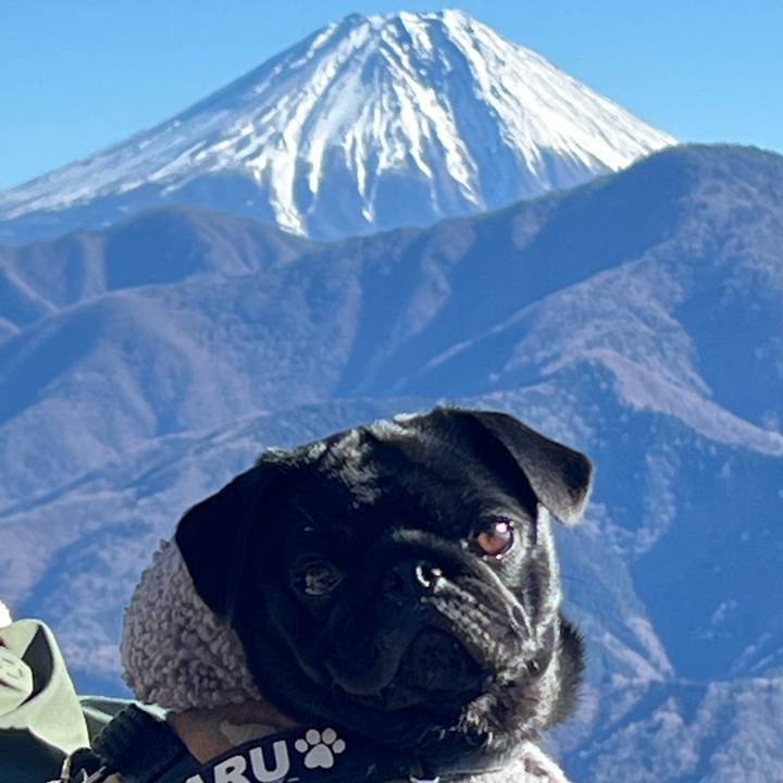 91f9cdc6 a012 4033 a1da 7a3b499f280c 1641720171520