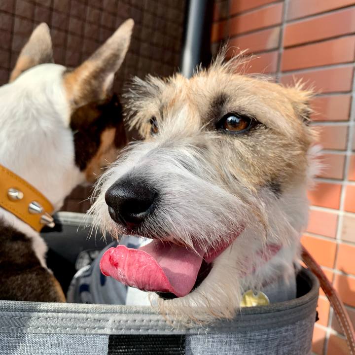 91fa03c2 ecaa 4020 8198 b5f7009ca1d7 1622284976092