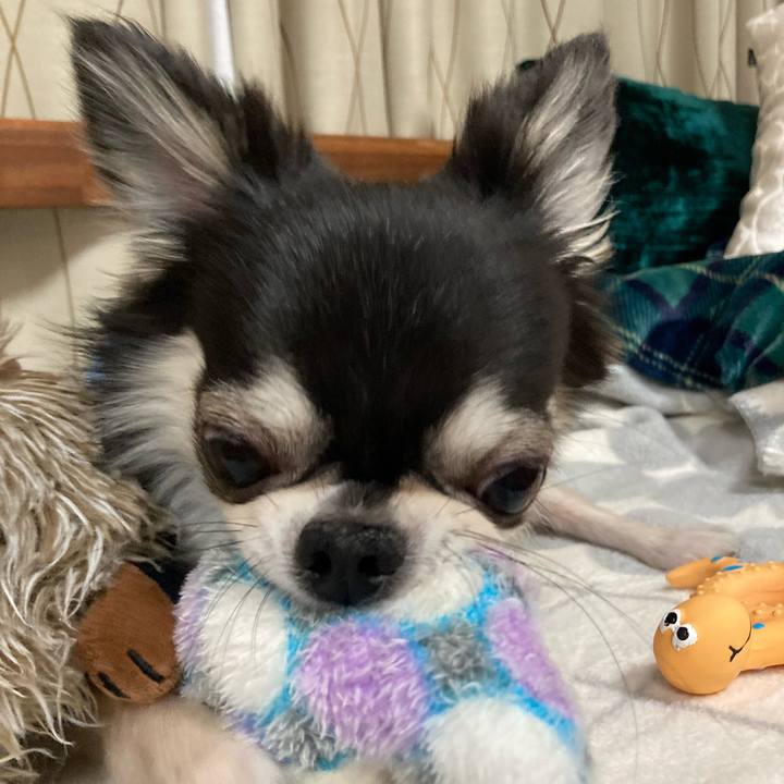 91fa467d c1a1 4d91 812e 7917d19101f7 1647093081733