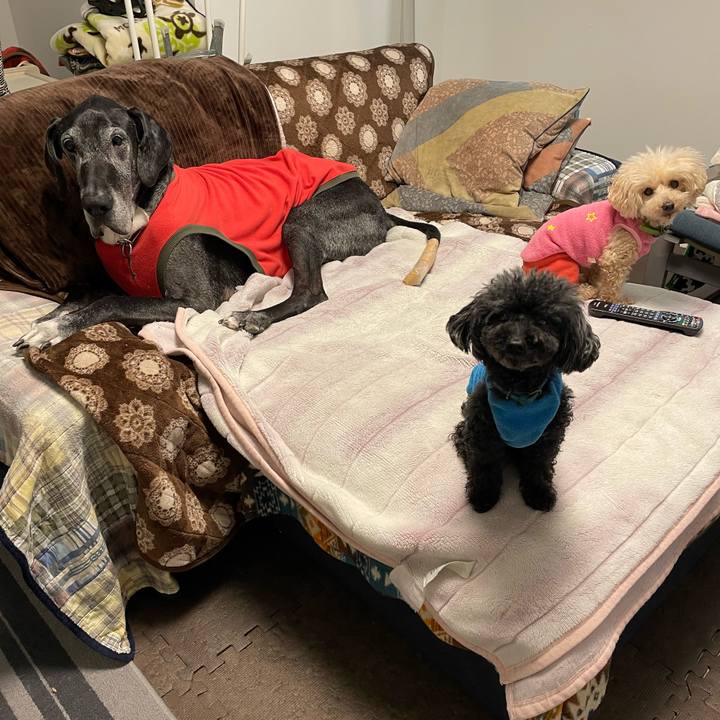 91fa534a 8257 43d3 a6db 4adefe07bb07 1644273218398