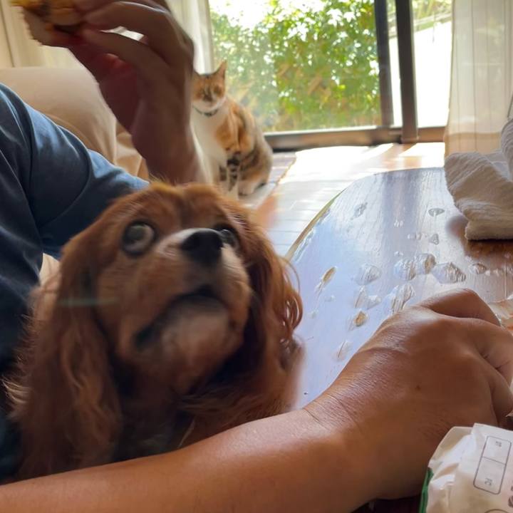 91fa793b d8fe 47c6 8560 a90a5055bacf 1695680754934