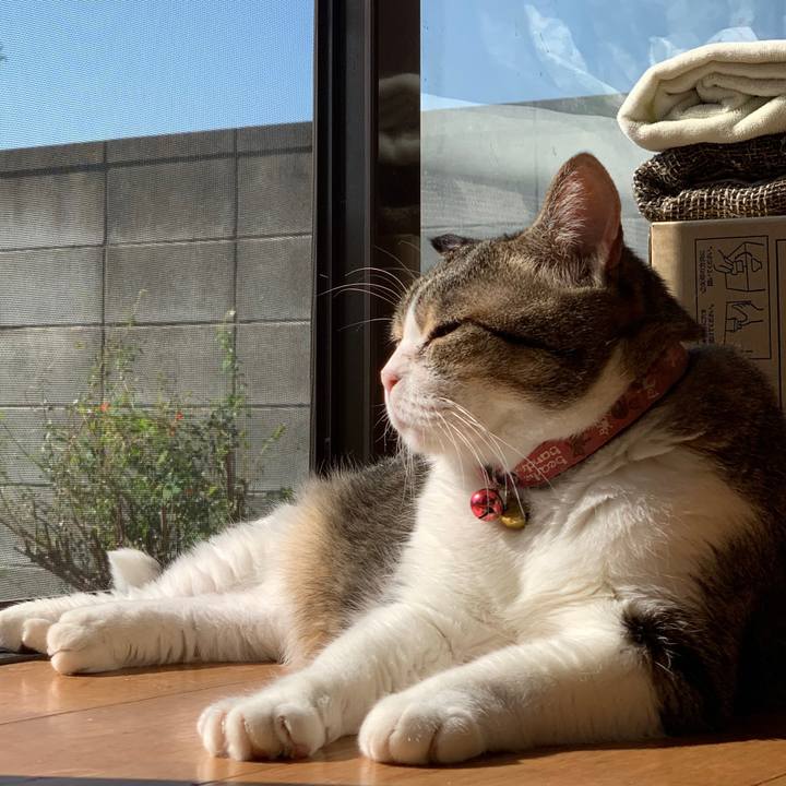 91fad6ae 0065 486a 8521 814158943748 1730618245145