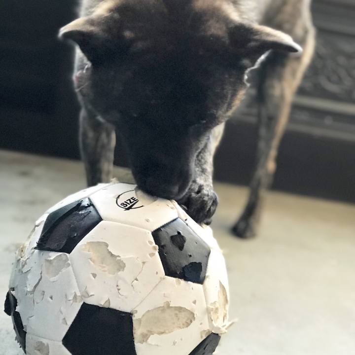 91fae8c5 0e32 4b3c 998c 64287eb3bebe 1509690142551