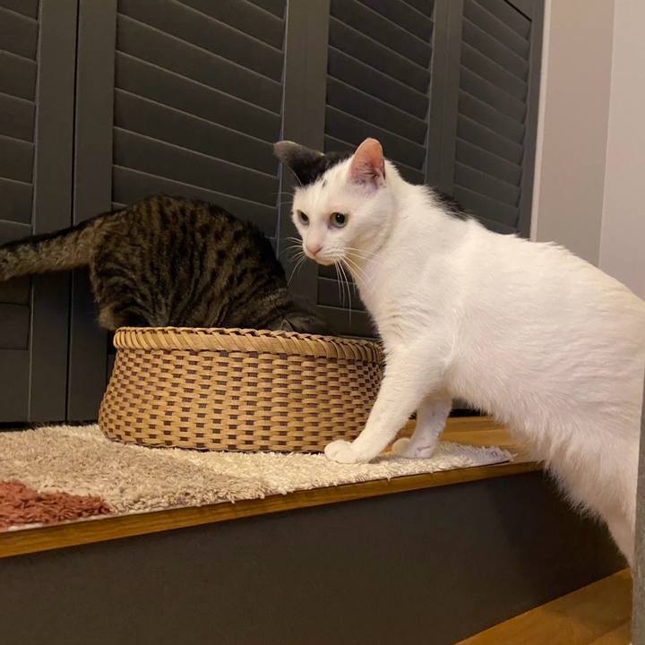 91fb2942 3648 468b 9caf 30632ea6652d 1749540041380