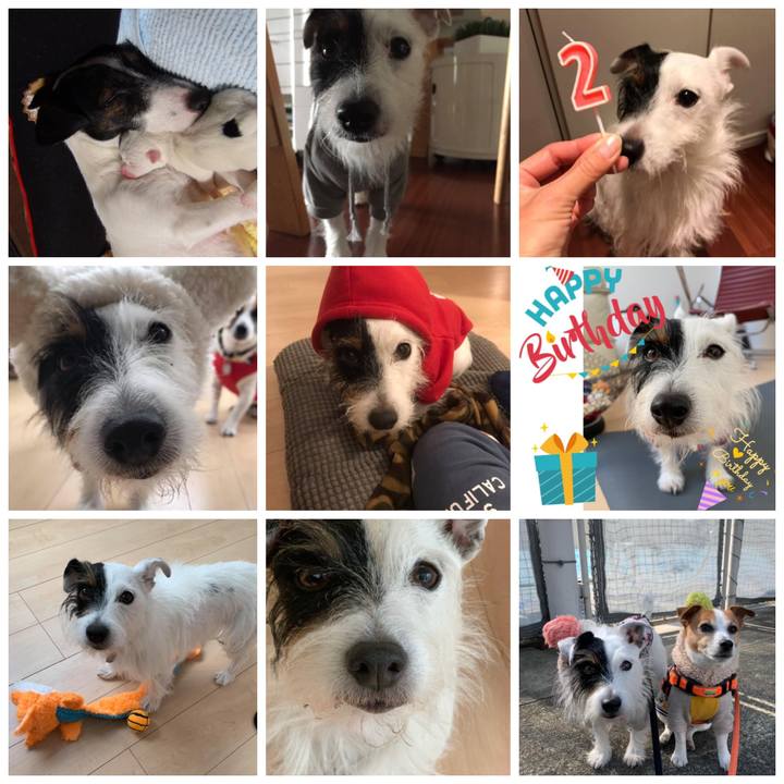 91fb2da3 bc54 4000 a760 18904057f3ce 1668933131981