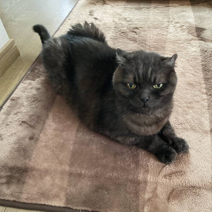 91fb4cff 82ae 4276 8268 1dc1d524d88c 1591325854550