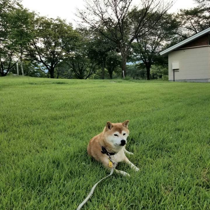 91fb5e27 483c 47db 80b2 c58cb418f0db 1627634181946