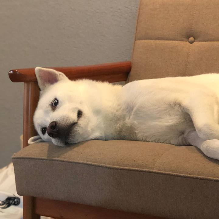 91fb7064 9388 4a59 8928 0dc2d8e64148 1561433566362