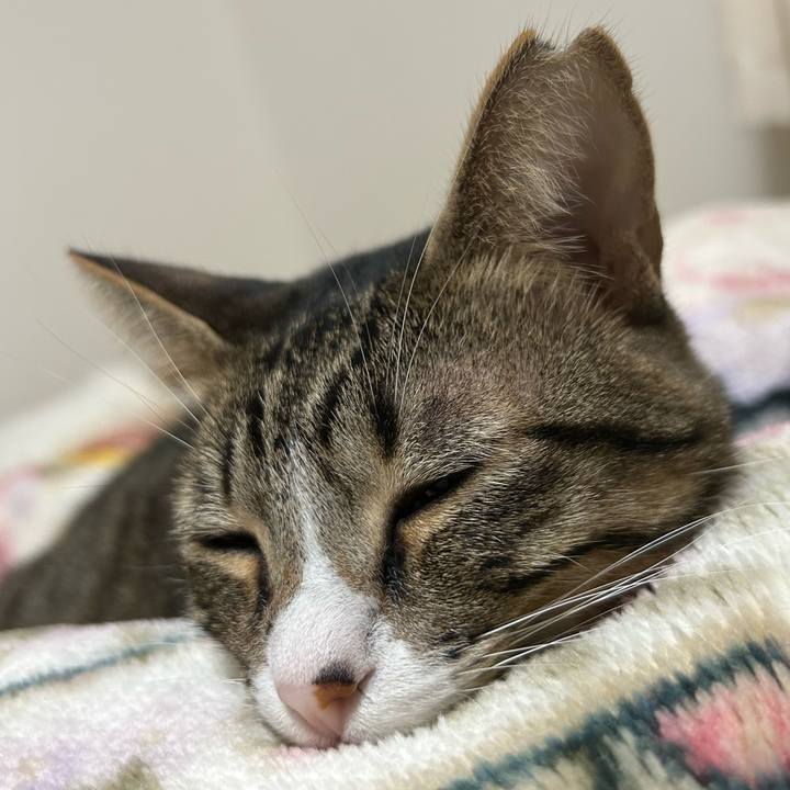 91fb79a1 eca1 4d80 af32 072c814bb156 1764372902174