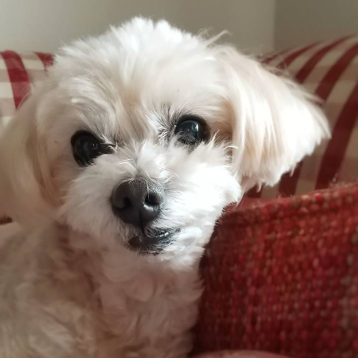 91fb9dee 8766 442d b1b1 ddf8107cfb3a 1620454838260