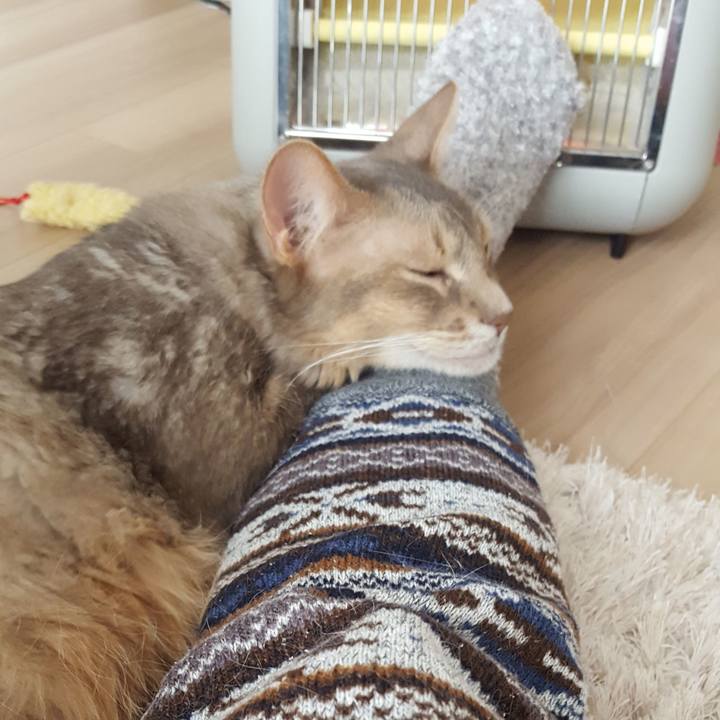 91fbba00 1624 4abf 8637 f8382f4454c6 1580018066218