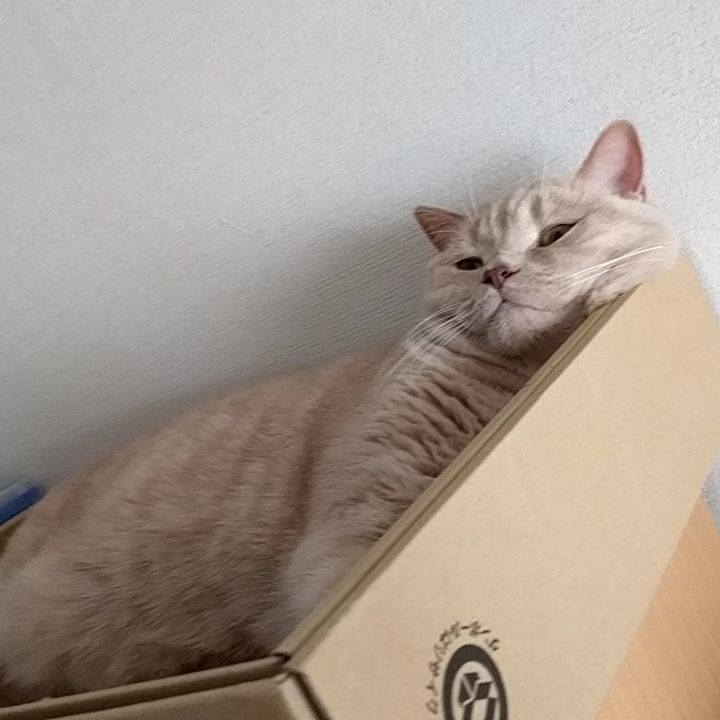 91fbf582 ad8a 4734 9ece 500d2048b473 1566136148747