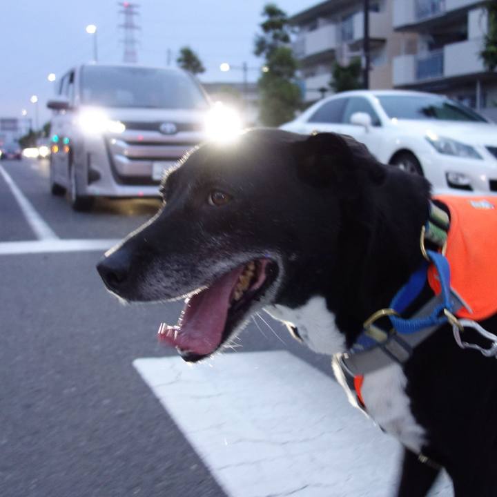 91fc149a 9da2 42d0 bd99 f4ca3bdbc8ce 1718622947786